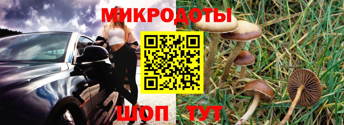 Зеленогорск  Галлюциногенные грибы Magic Shrooms  Вход с VPN 