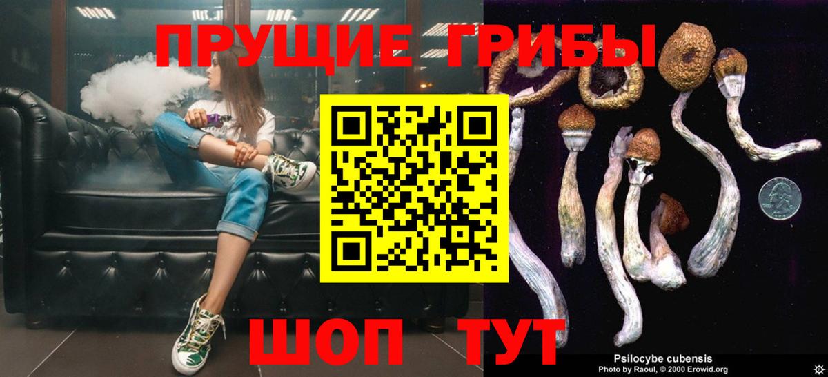 Галлюциногенные грибы ЛСД Зеленогорск